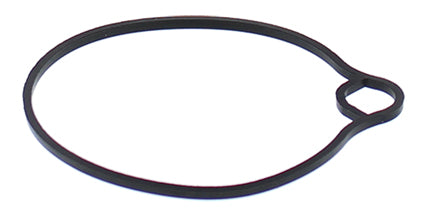 ALL BALLS karbiuratoriaus plūdės tarpinė ARCTIC CAT 50 DVX 06-08, 90 DVX 06-18,