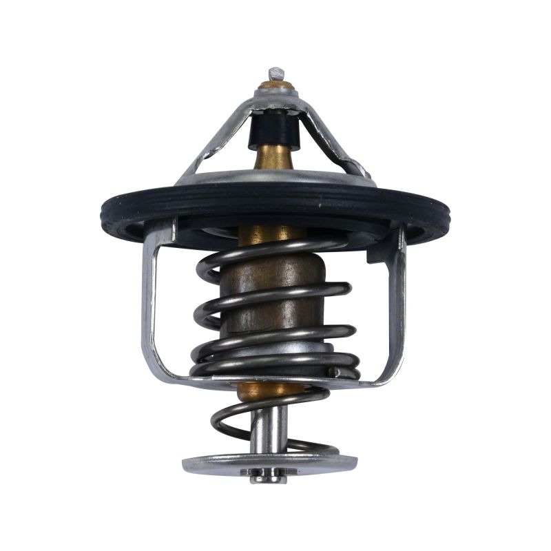 ALL BALLS termostatas POLARIS General / RZR