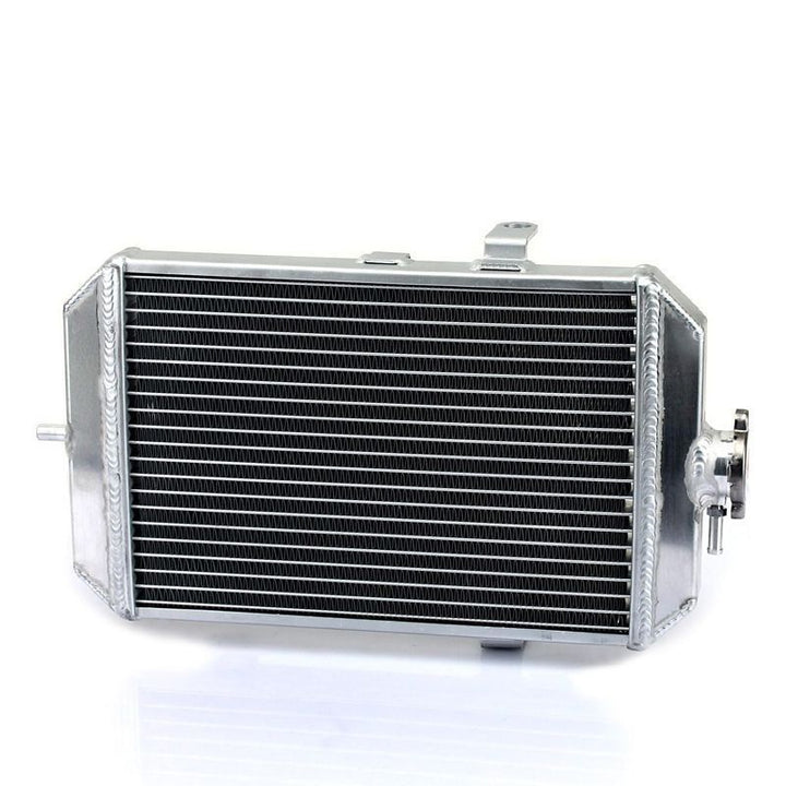 Radiatorius Yamaha Raptor 660 01-05 5LP-12461-10-00