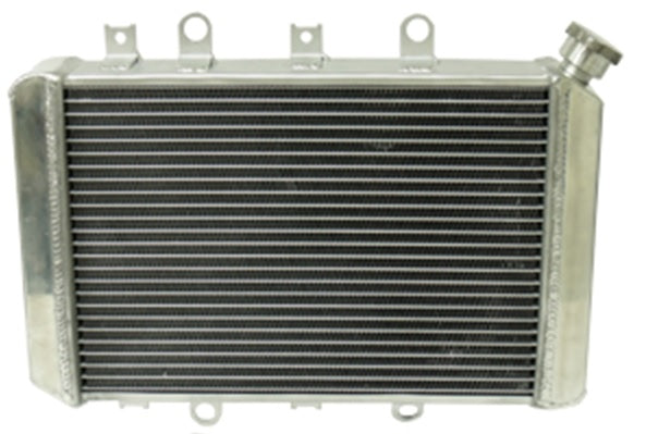 Radiatorius YAMAHA YFM 700/550 GRIZZLY '07-11